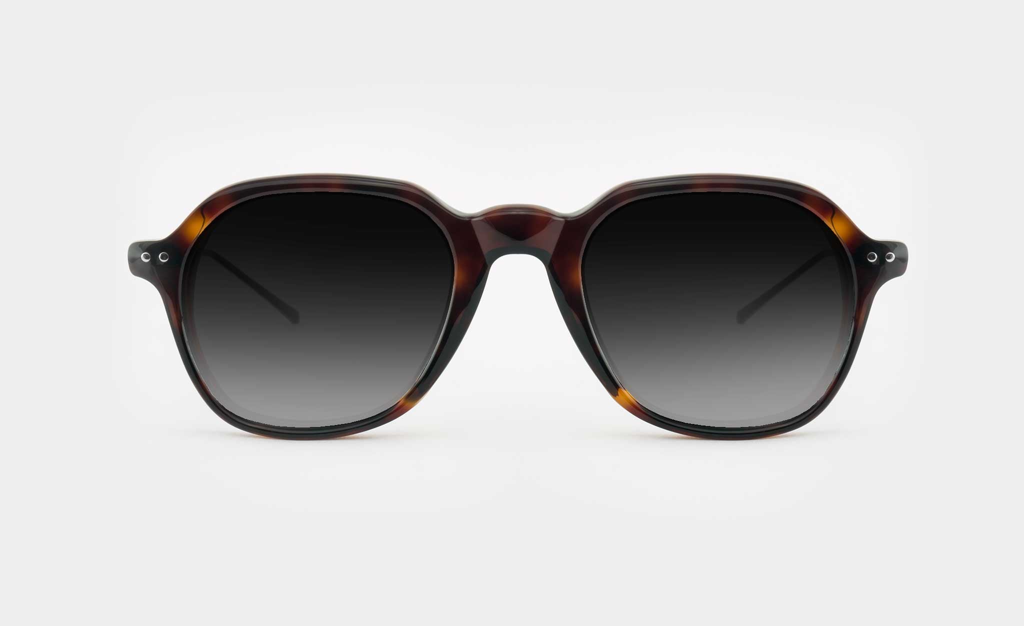 Best Quality Mens Sunglasses for 2024 – Banton Frameworks